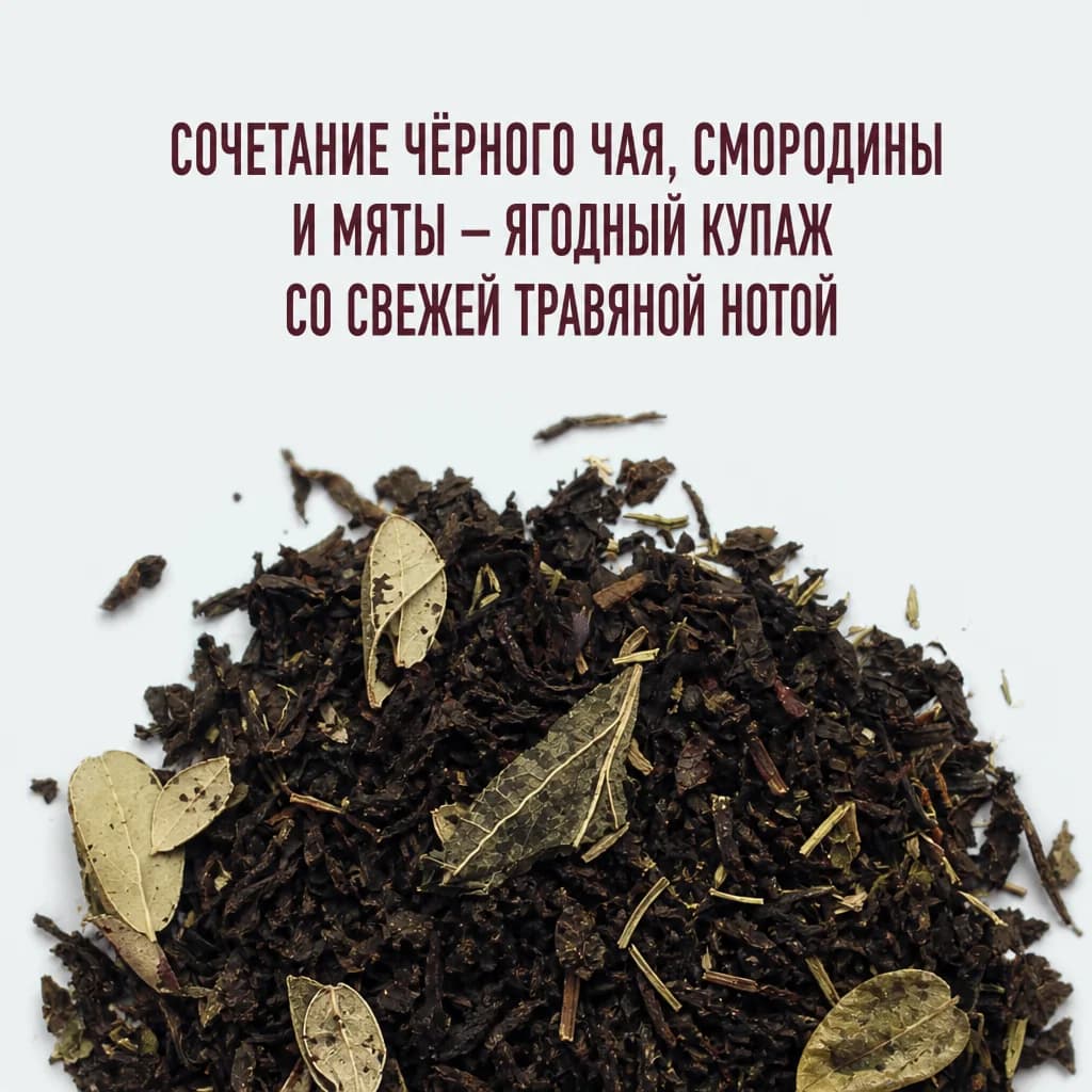 Чёрный чай смородина с мятой